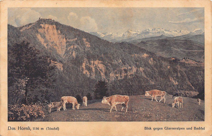 Cartoline postali: Das Hörnli mit Glarneralpen und Bachtel – Usato da Frauenfeld venduto da POML