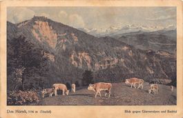 Das Hörnli mit Glarneralpen und Bachtel