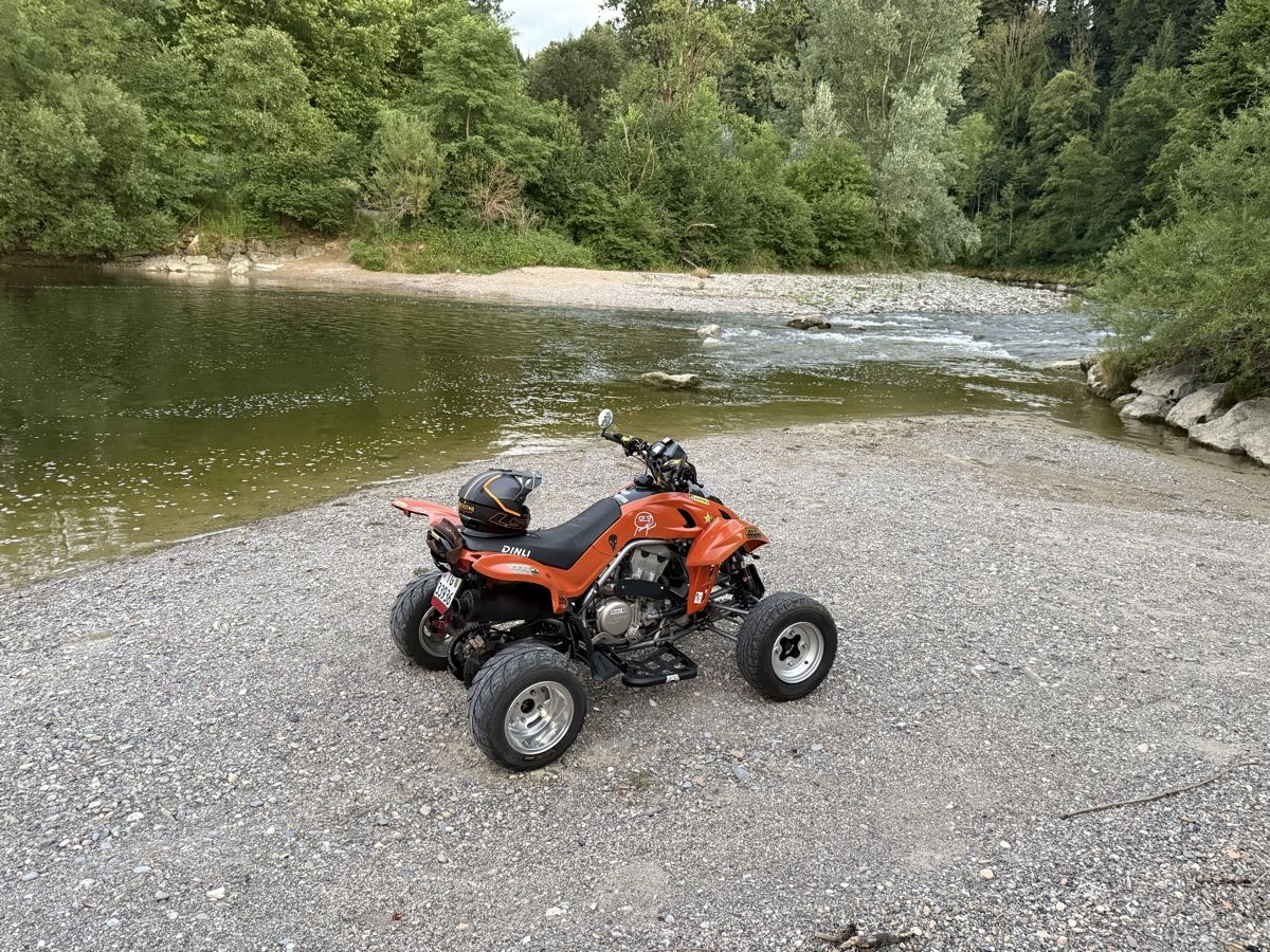 Dinli Quads: Dinli DL DMX 450 – D'occasion à Bischofszell par Ehelena 9