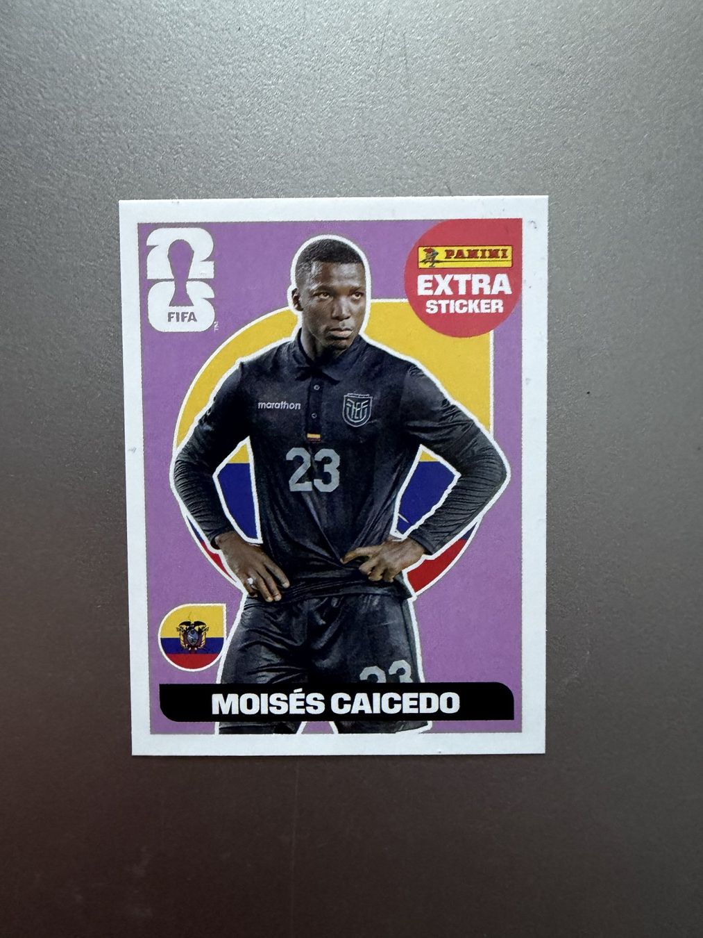 Panini Carte collezionabili: Panini Extras - 4er Set – Usato da Winterthur venduto da jsoll1 4