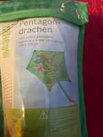 NEU Pentagon Drache 100x120cm