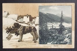 AK Bernadiner DAVOS Hund 1912