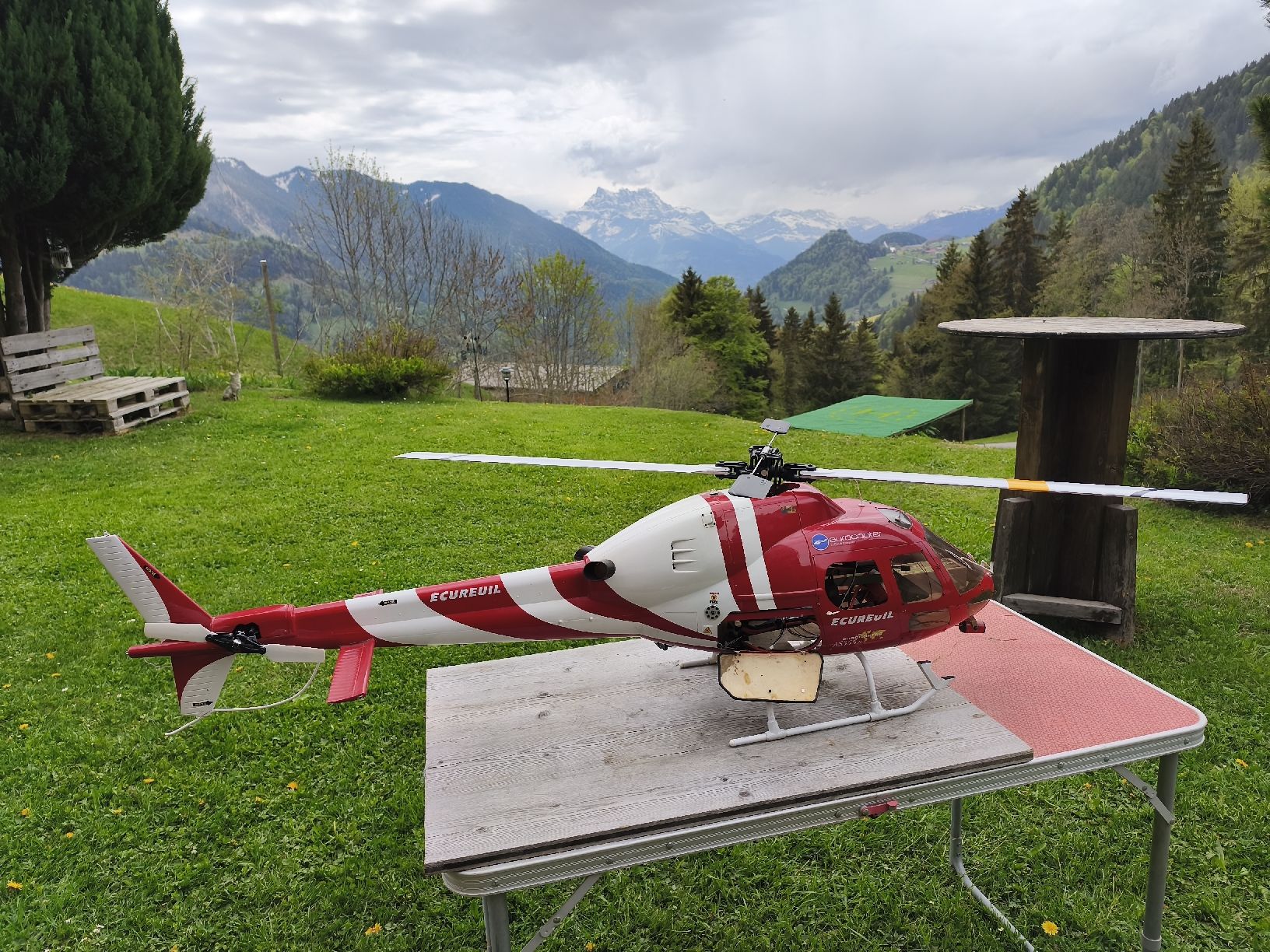 Modellismo RC: Écureil RC Raptor E550 – Usato da Martigny venduto da SteveHC1920 6