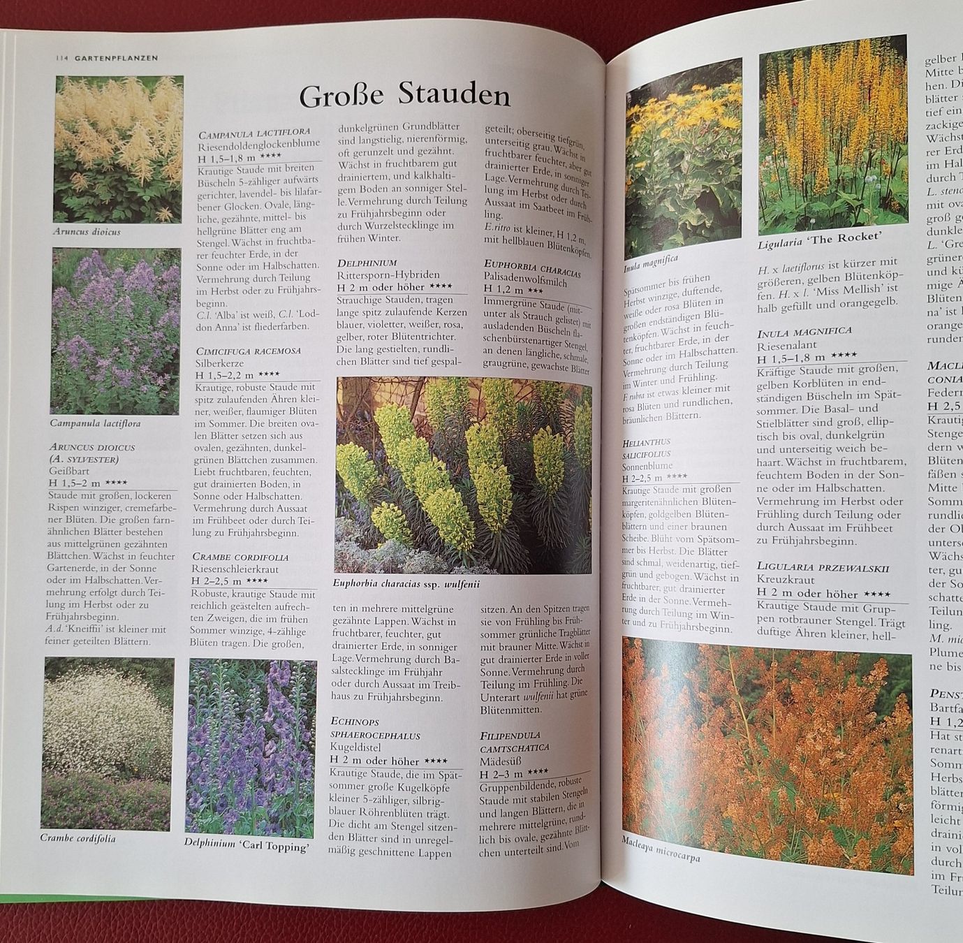 Libri: Buch Garten Handbuch 2000 – Usato da Oberriet SG venduto da Atir47 5