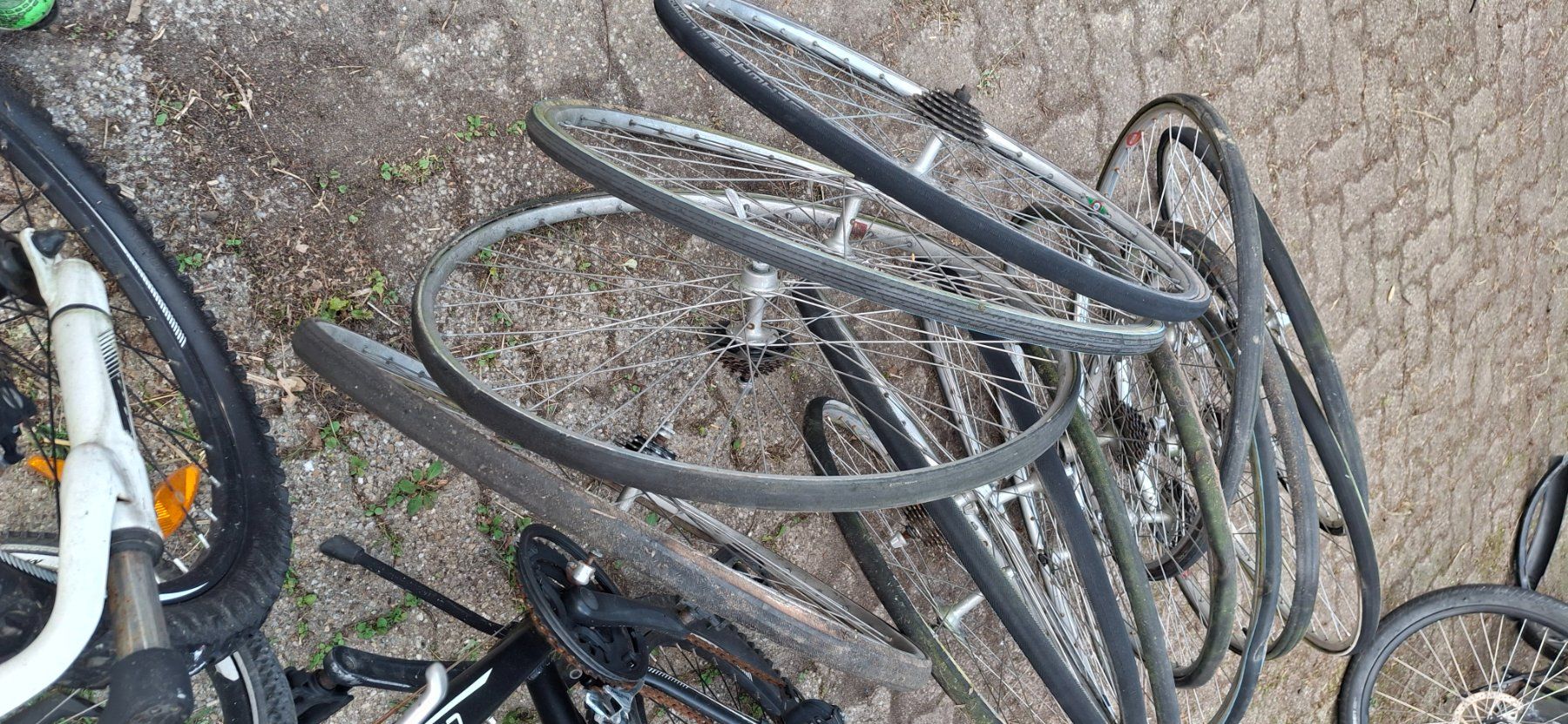 Velos: 15 Rennvelo Laufräder – Gebraucht aus Kyburg von JBMNT2020 7