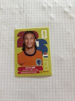 Panini NED7