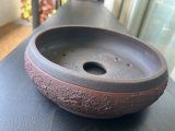 Vasi per fiori: Bonsai-Schale John Pitt, nummeriert – Nuovo (secondo la descrizione) da Kreuzlingen venduto da glo_yg6c 3