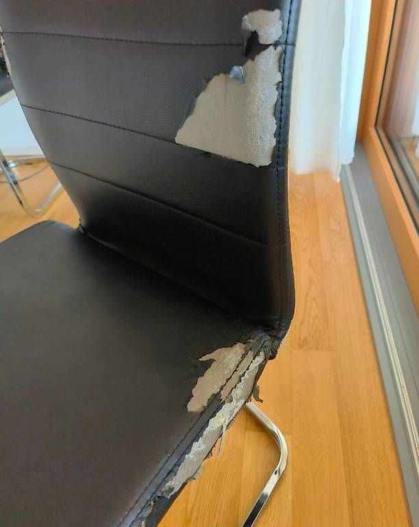 Chaises: 4 x Freischwinger-Stuhl – D'occasion à Schüpfheim par oldyrk 1