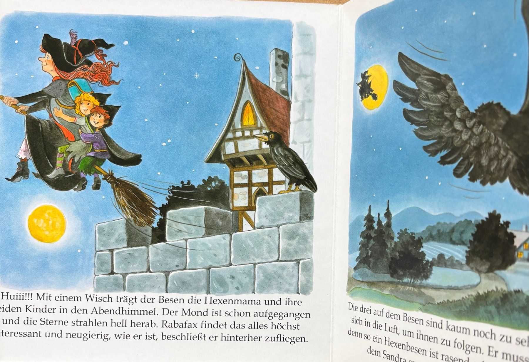 Libri: Picknick auf dem Hexenberg – Nuovo (secondo la descrizione) da Sarnen venduto da Livres 2