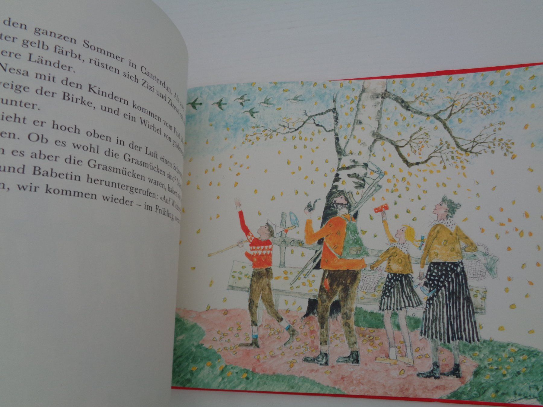 Libri: Birnbaum Birke Berberitze A. Carigiet – Usato da Chur venduto da Oregano1 2
