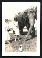 2 Fotografien Zirkus-Elefant mit zwei Fr
