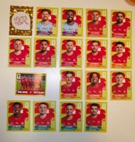 🔥🇨🇭18x Panini Team Schweiz/Suisse SUI1-20 (ohne SUI 9&10)
