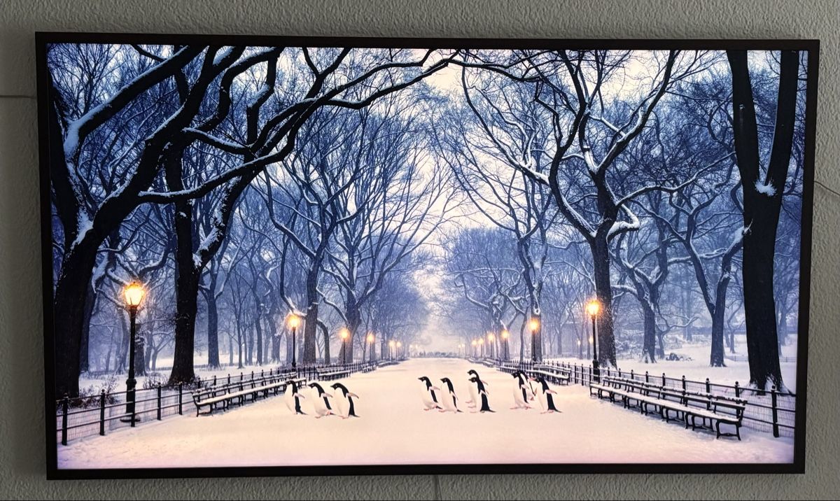 Samsung Televisori: Samsung The Frame 55“ – Usato da Lufingen venduto da codabaz