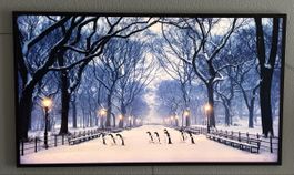 Samsung The Frame 55“