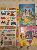 Kinderbücher, Paket; Spiel Anna Elsa, Tiere, Disney