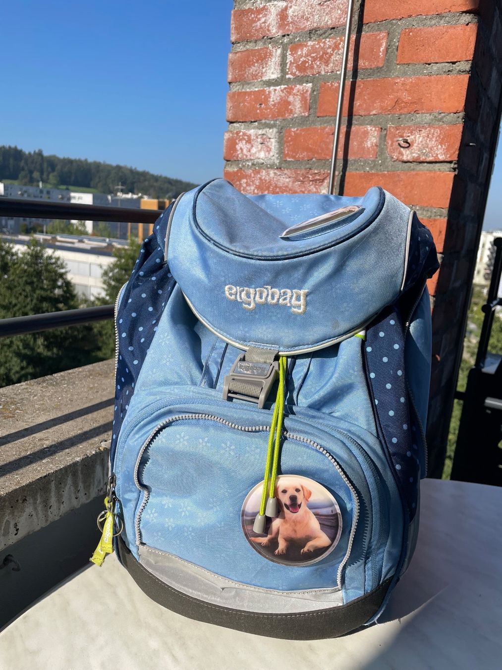 Ergobag Borse & Zaini: Ergbag Schulthek-Set – Usato da Zürich venduto da Andih1 6