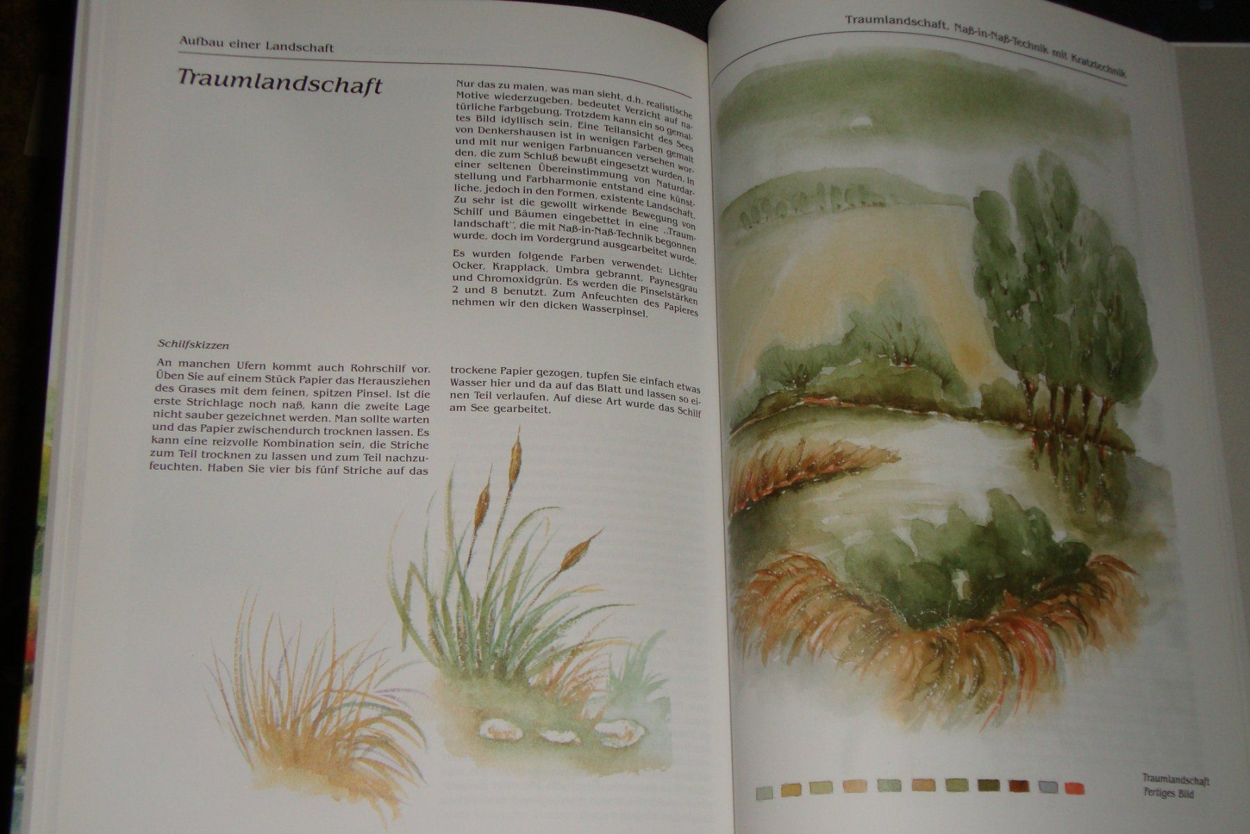 Libri: Landschaftsaquarelle - Technik und Komposition – Usato da Bern venduto da carola31 3