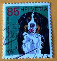 Nr.1227 Berner Sennenhund GESTEMPELT Sondermarken 2007   