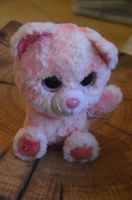 NICI - CM 23