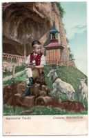 Appenzeller Tracht, Bub mit Ziegen beim Wildkirchli