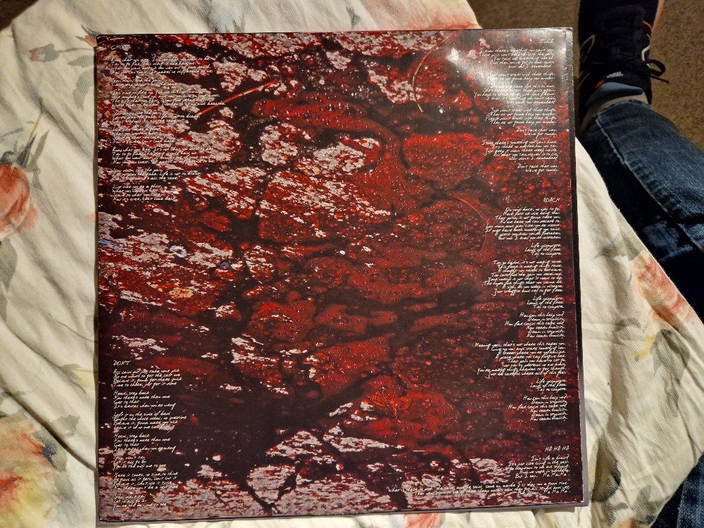 Dischi in vinile: Unsane – Wreck - Vergriffen! – Usato da Brittnau venduto da Zibu 3