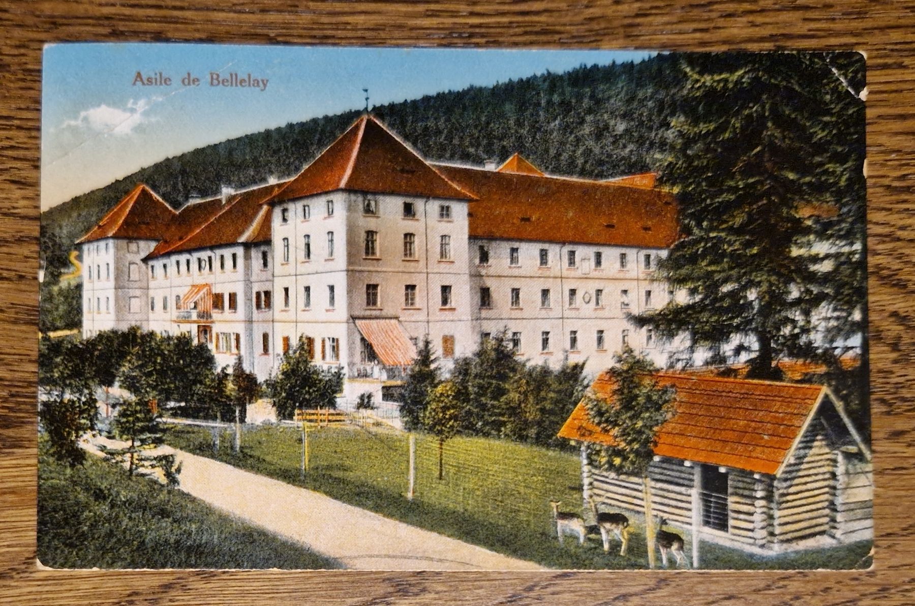 Cartoline postali: Asile de Bellelay – Usato da Ebikon venduto da Donar50