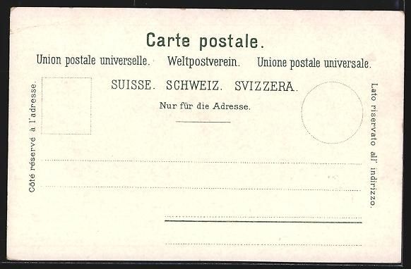 Cartoline postali: Zürich, Kleines Rundfahrtsschiff vor de – Usato da Berlin venduto da bartko-reher 1