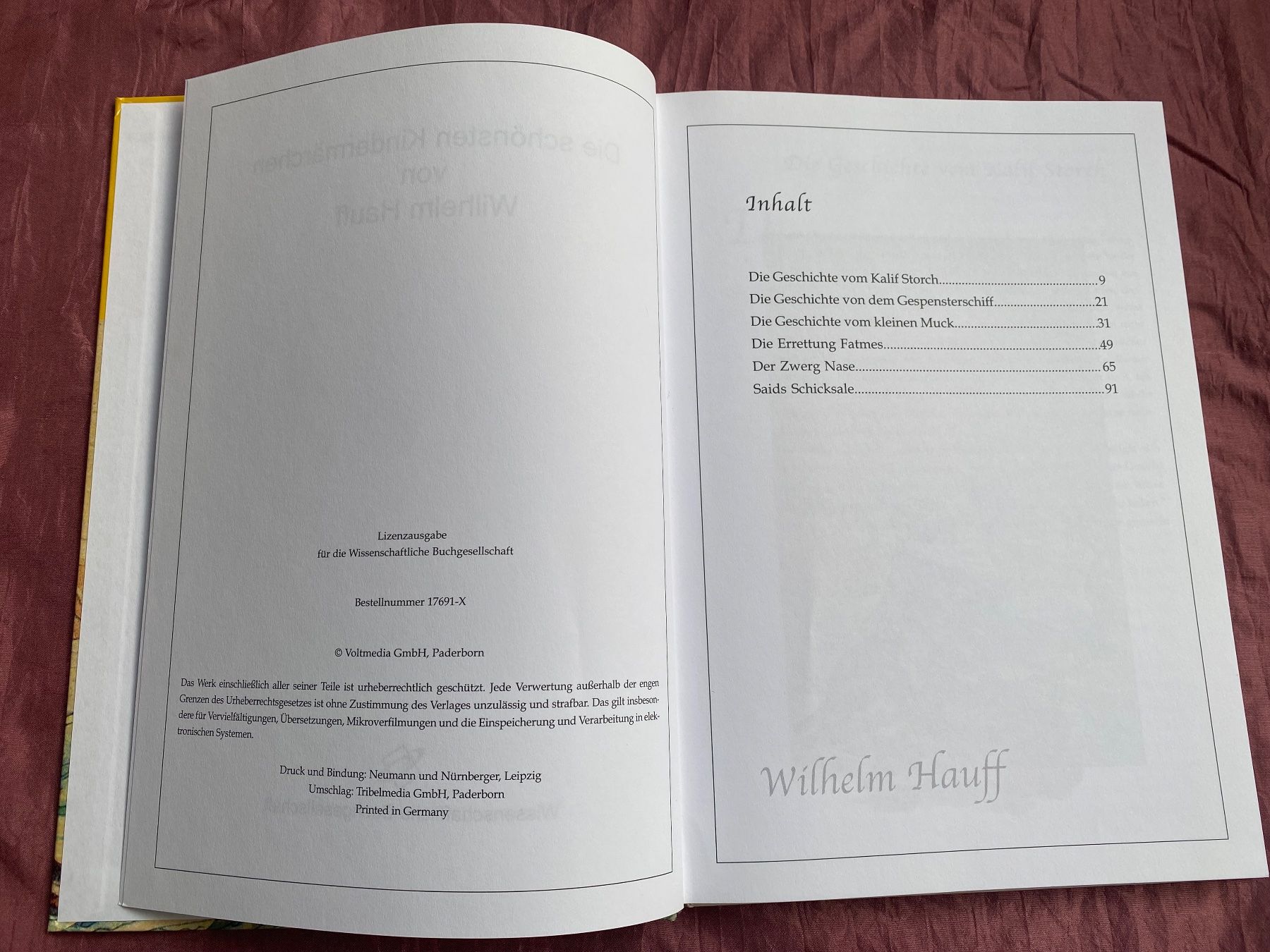 Libri: Die schönsten Kindermärchen von Wilhelm Hauff Kinderbuch – Usato da Basel venduto da him_5r5n 3