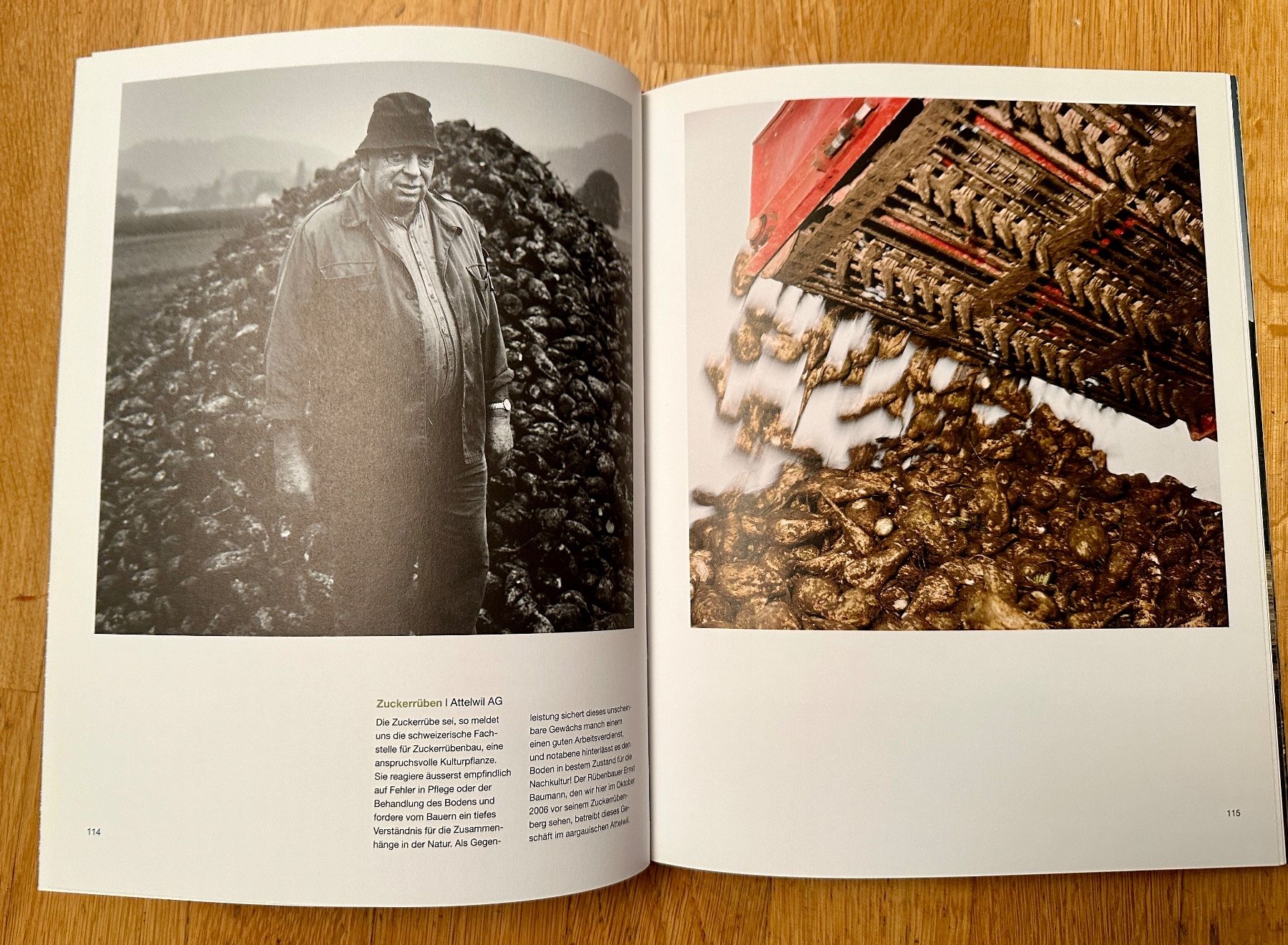 Libri: Markus Bühler-Rasom: Landwirtschaft Schweiz. – Usato da Zürich venduto da allp 6