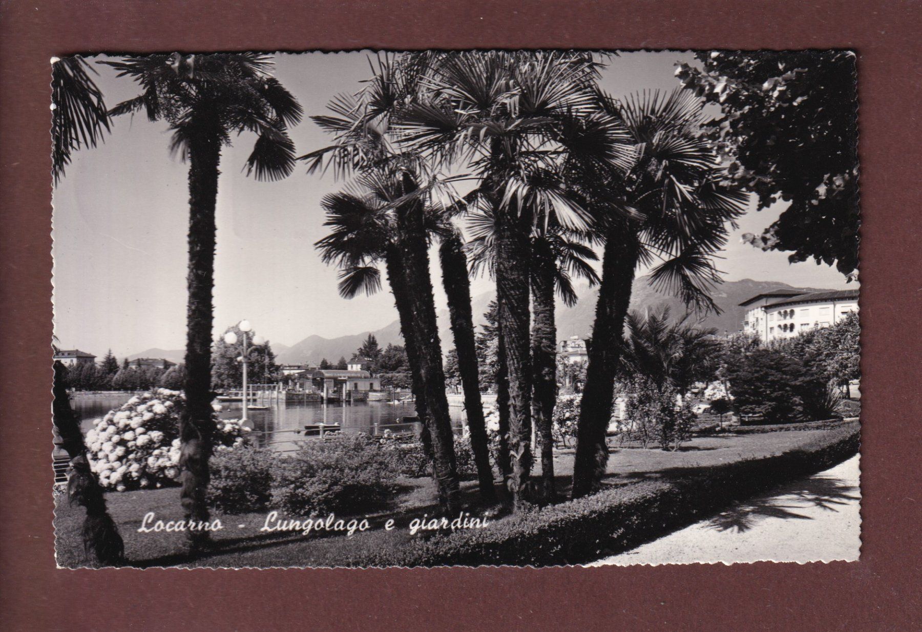 Cartoline postali: LOCARNO - Lungolago e giradini - 1955 – Usato da Pully venduto da nicecards