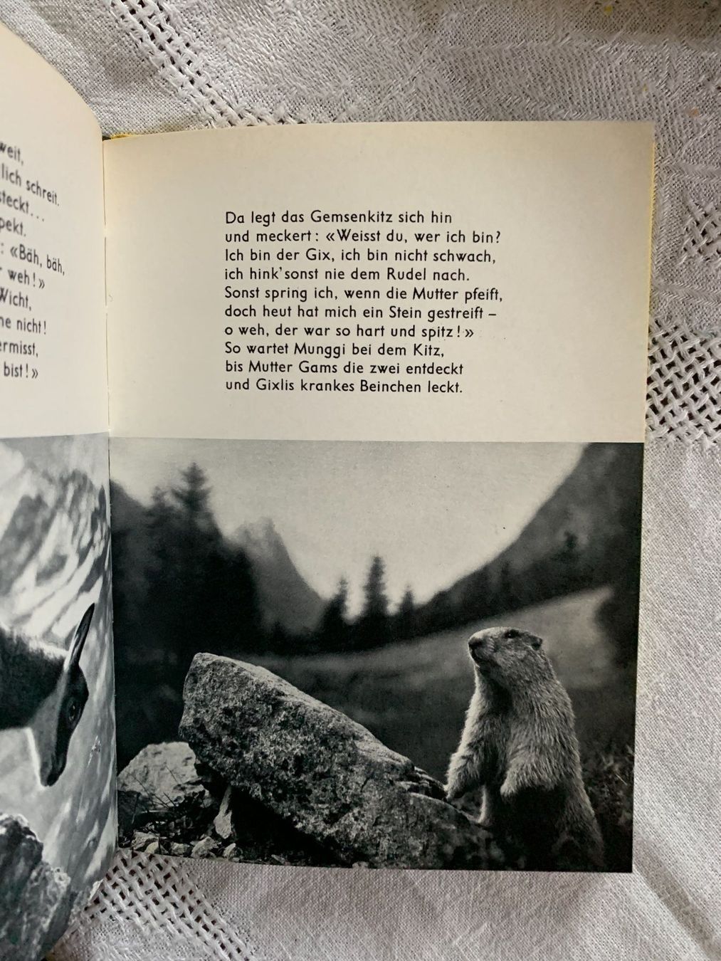 Libri: 7 Bände aus der Vera-Reihe – Usato da Stans venduto da Abukadnezar 1