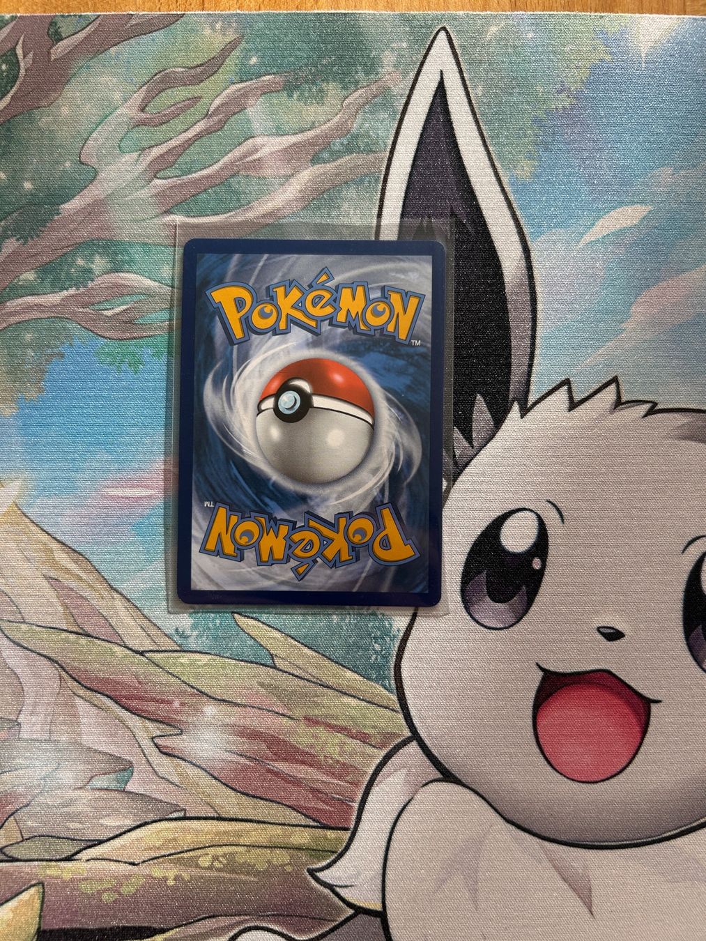 Carte collezionabili: Pokémon Charizard ex – Nuovo (secondo la descrizione) da Frauenfeld venduto da Zoldyck 1