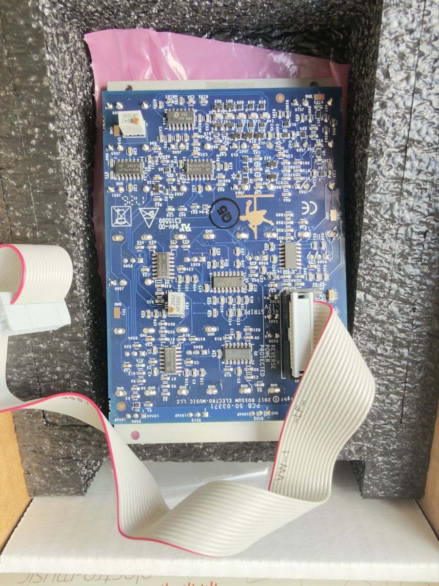 Strumenti musicali: Rossum Electro-Music: Evolution Ladder Filter – Nuovo (secondo la descrizione) da Rieden SG venduto da Felsolar 2