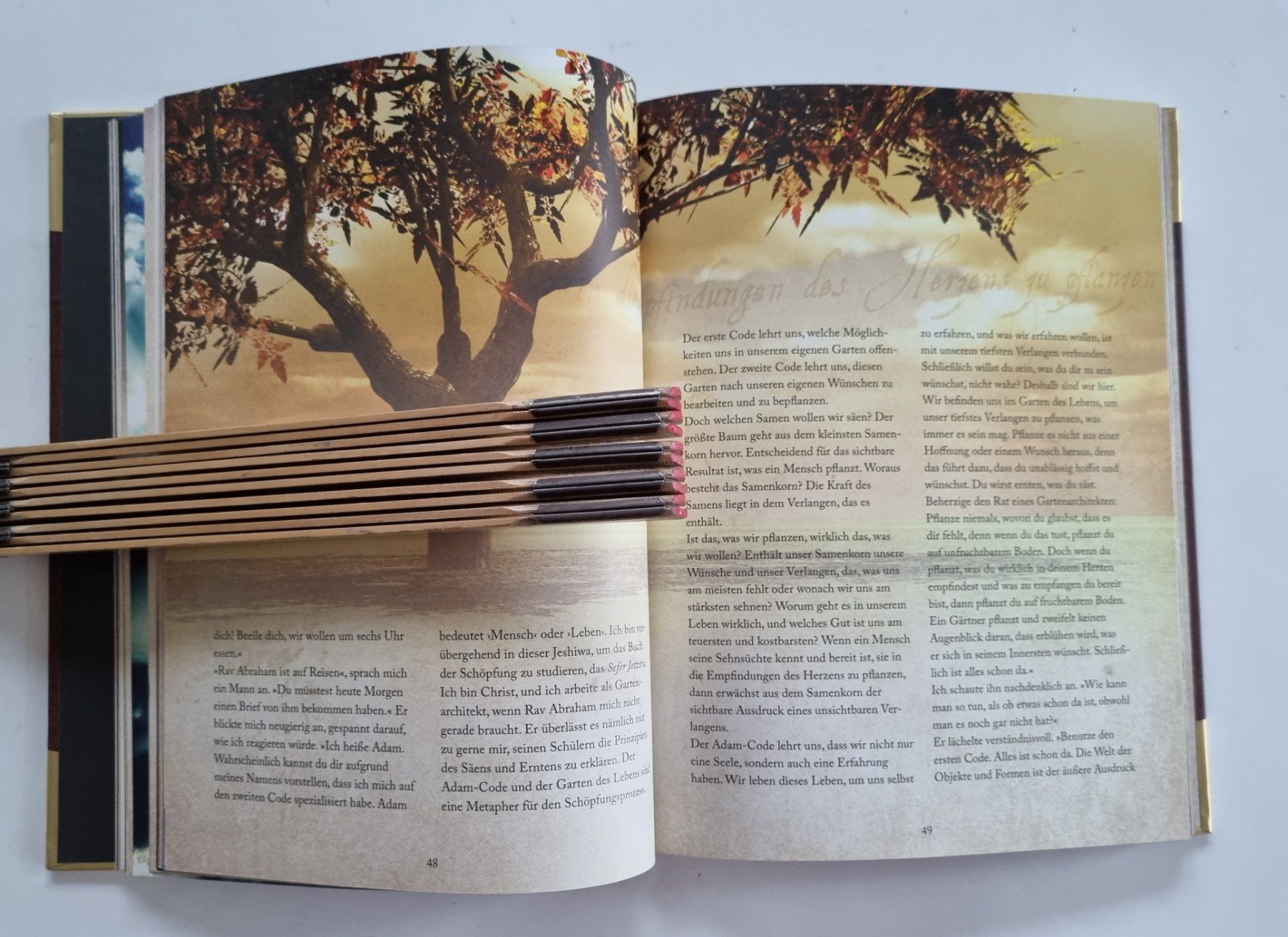 Livres: Die Lebens Codes - Patty Harpenau – D'occasion à Opfikon par Diversamente 5