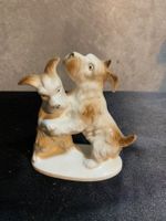Chiens Hund Statuette Porcelaine Vintage Sammlung