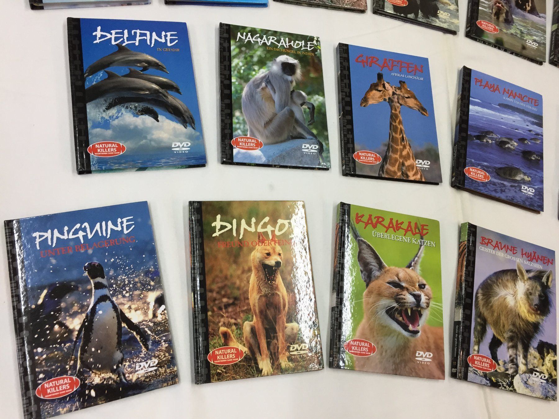 Tutti i DVDs: 18 x DVD "Raubtieren" – Usato da Schaffhausen venduto da sparzone 3
