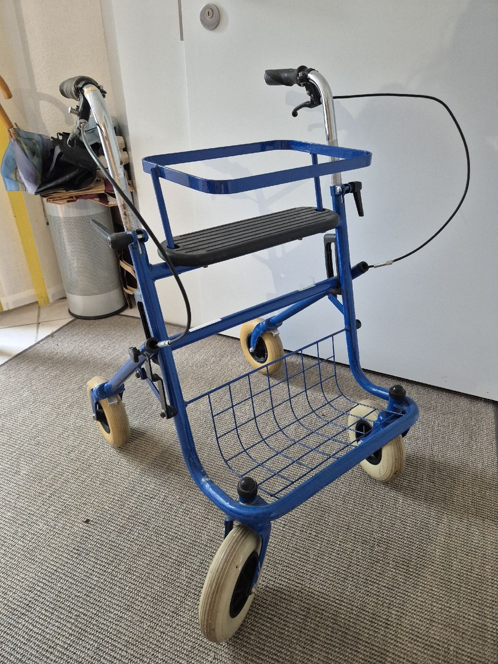Ausili per la deambulazione: Rollator – Usato da Kollbrunn venduto da guernsey11 1