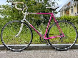 Koga Miyata Prologue Retro Rennrad  I 60 cm
