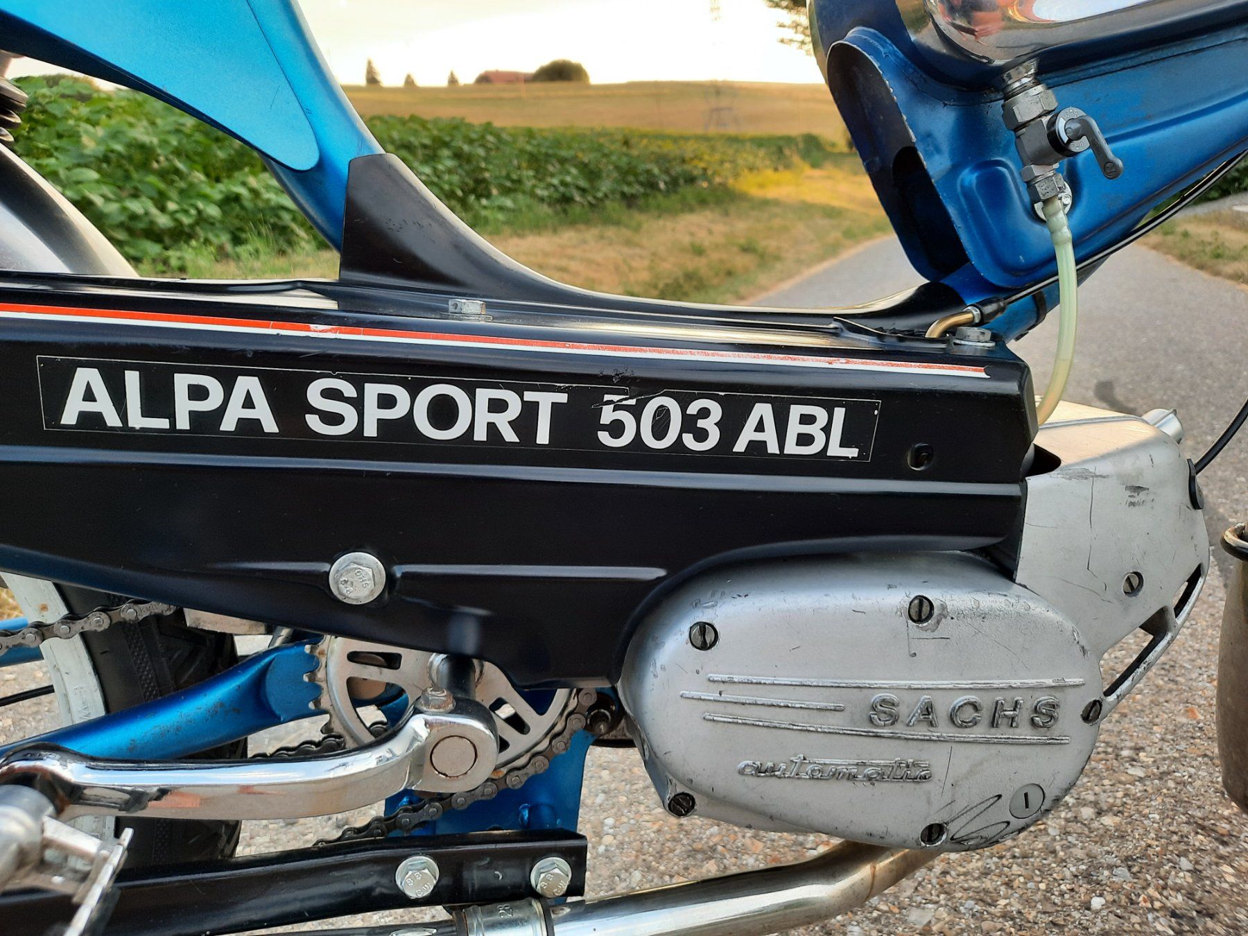 Sachs Mofas: Mofa Sachs Alpa Sport 503 ABL – Gebraucht aus Niedermuhlern von carfreak75 6