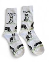 Socken Hunde/Dogs/Border Collie