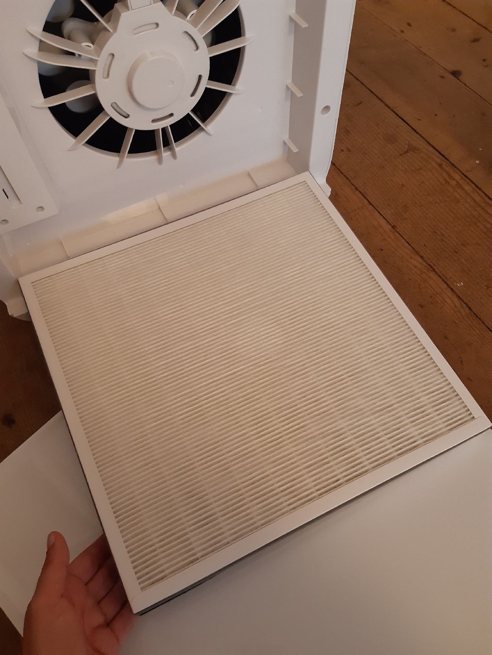 Ventilazione: Luftfilter von Beurer - wie neu! – Nuovo (secondo la descrizione) da Biel/Bienne venduto da lalilullu 8