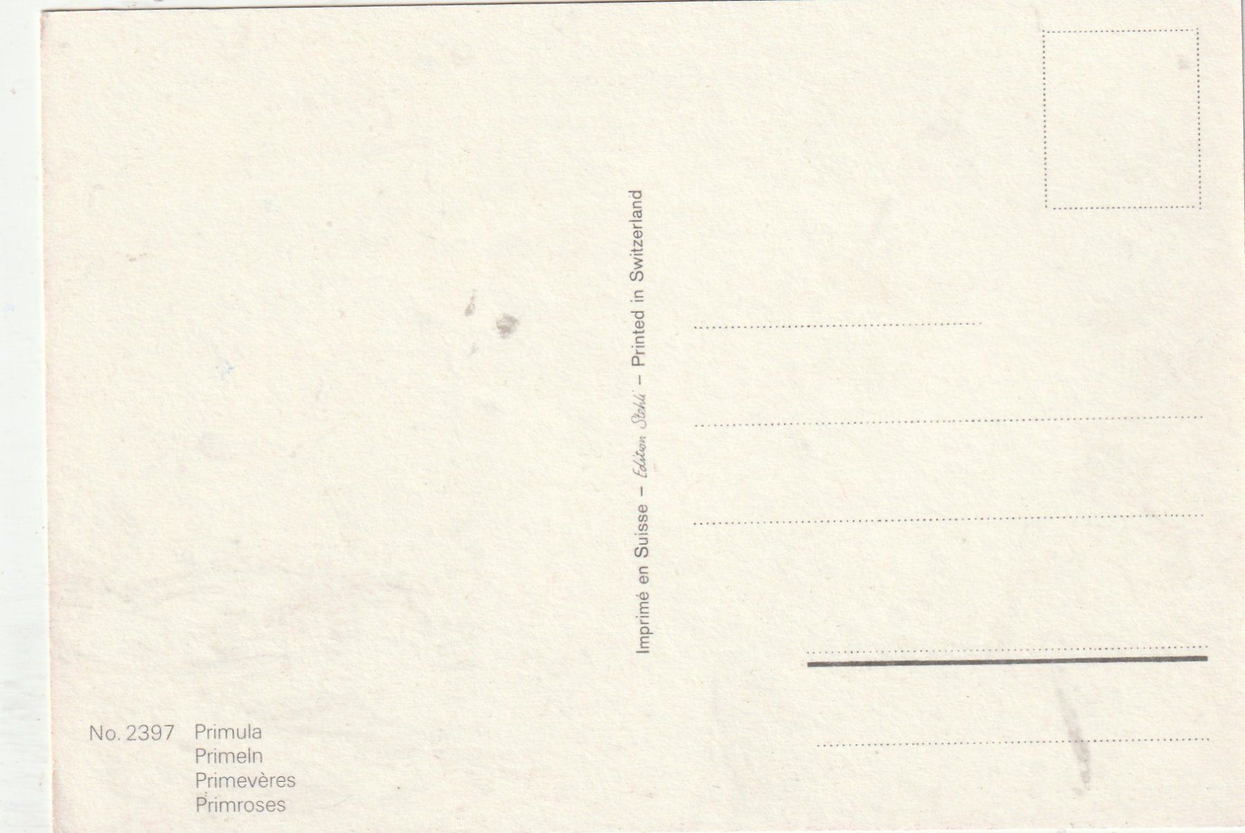 Cartes postales: Blumenkarte – D'occasion à Lumbrein par made02 1