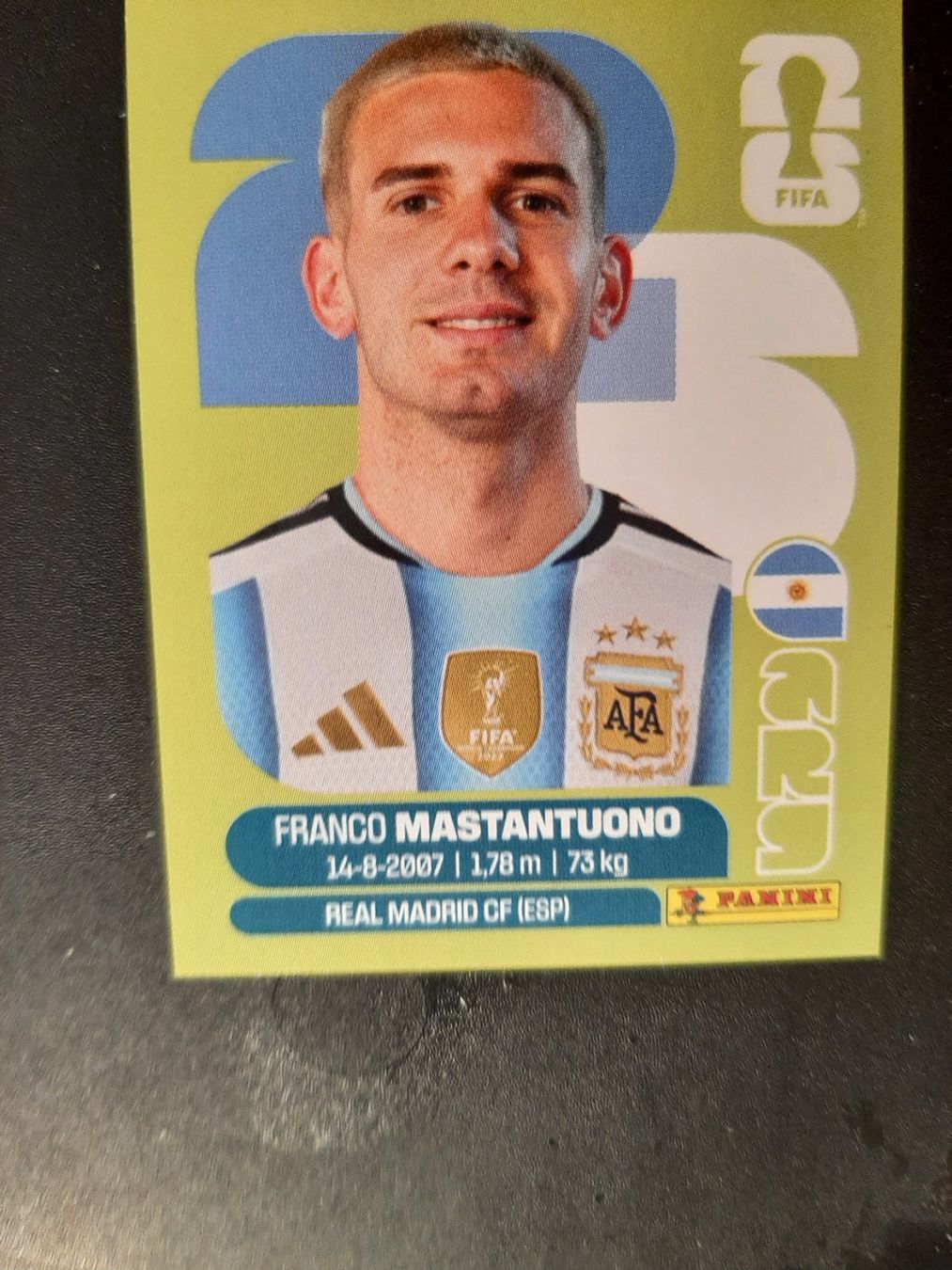Panini Carte collezionabili: Panini 2026 ARG15 – Nuovo (secondo la descrizione) da Leuk-Stadt venduto da Meic