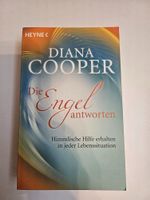 Die Engel antworten von Diana Cooper