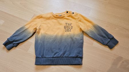 Pullover Kinder IDEXE 18 Monate, (ca. Grösse 86)