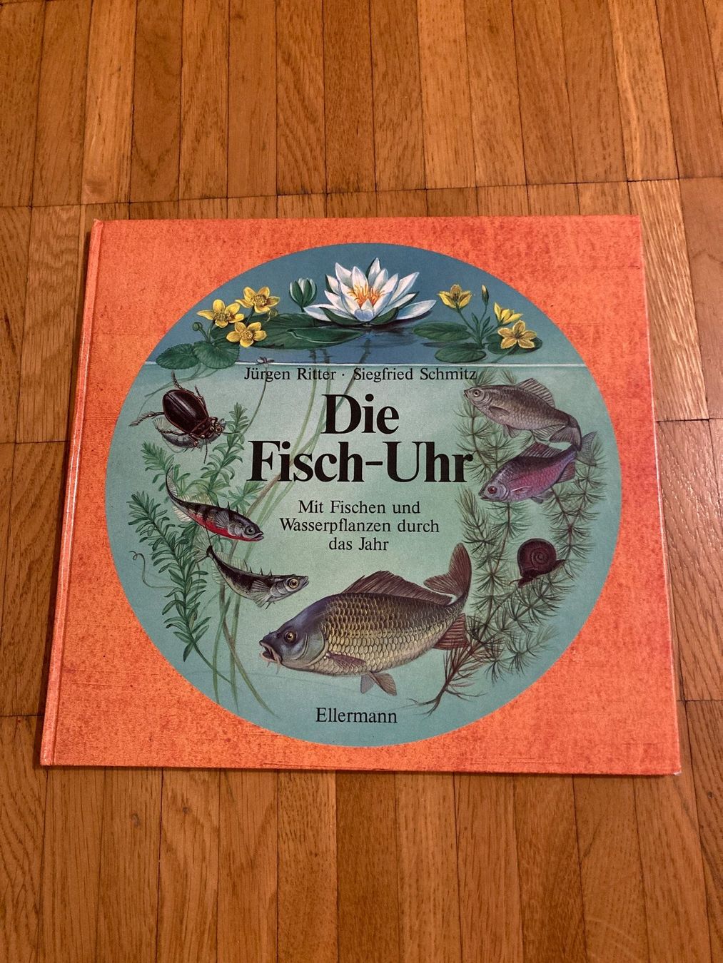Libri: Die Fisch-Uhr – Usato da Winterthur venduto da Quilterin