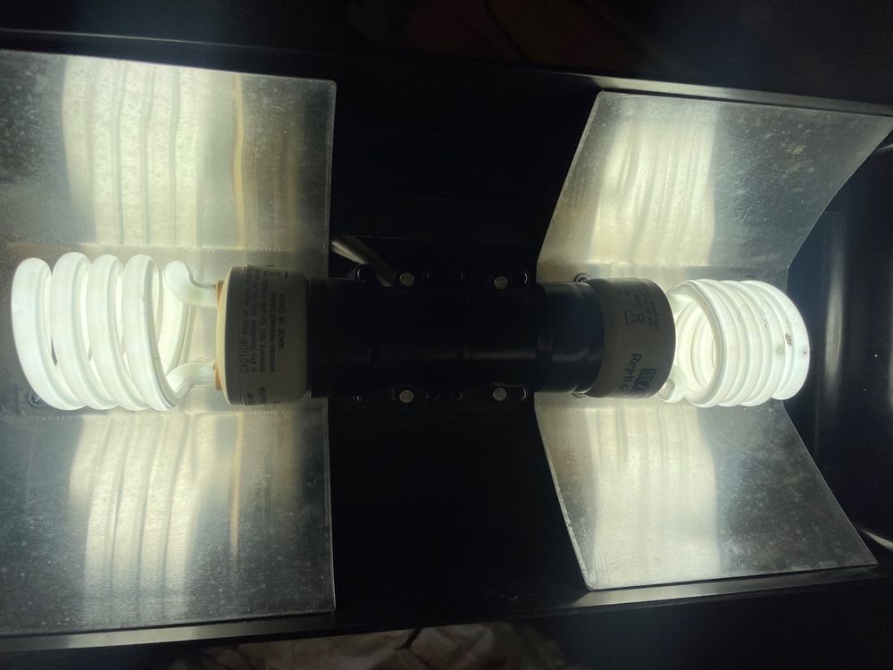 XPJBKC Reptilien Wärmelampe Terrarium - Mit Zeitschaltuhr Und Dimmer E27