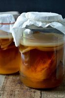 BIO Kombucha Fermentation Teepilz Scoby Lebensmittel