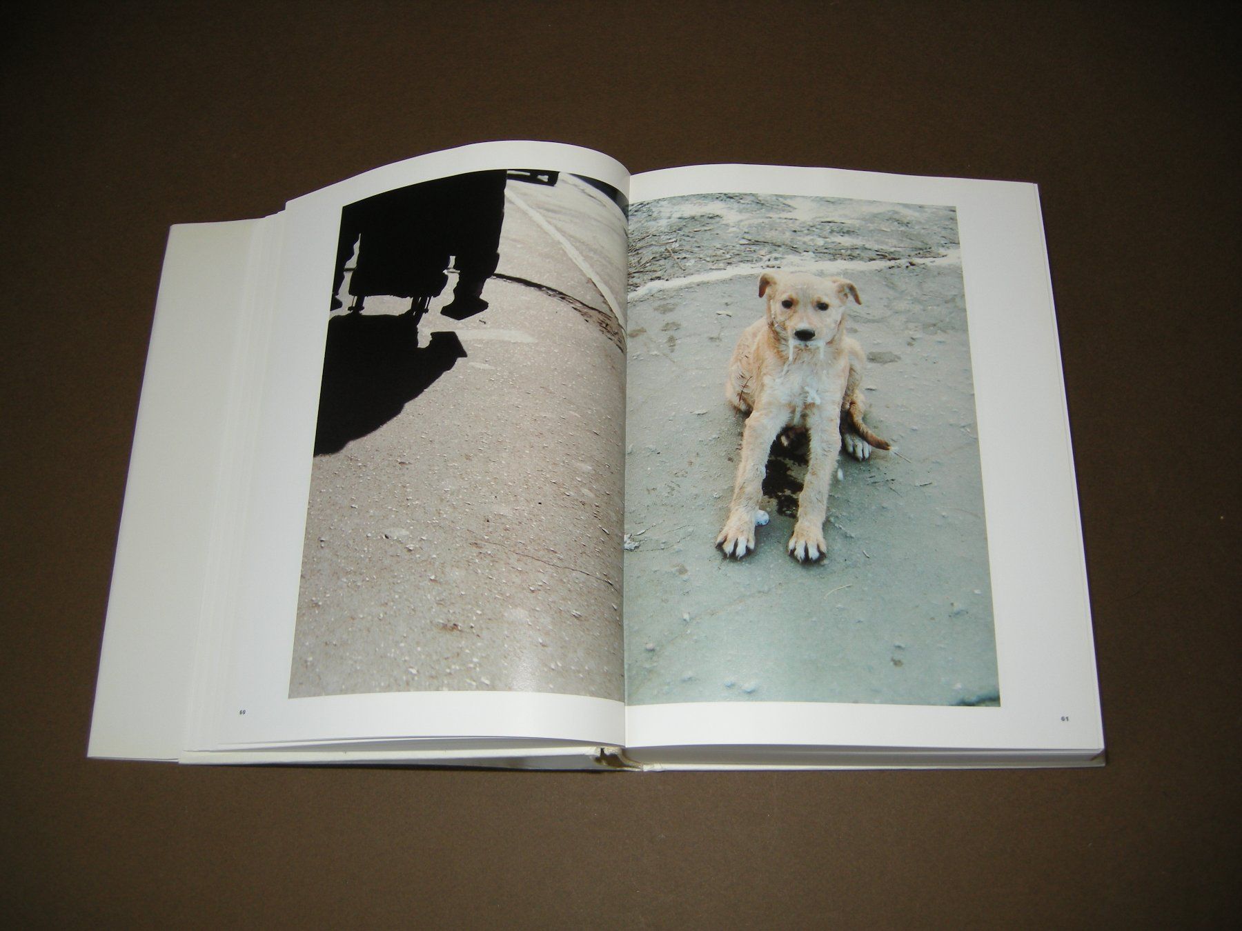 Libri: Boris Mikhailov Case History / Scalo 1999 – Usato da Aarau venduto da Pearlz 4