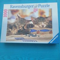 Ravensburger Puzzle/  Katzenträume     1000 Teile